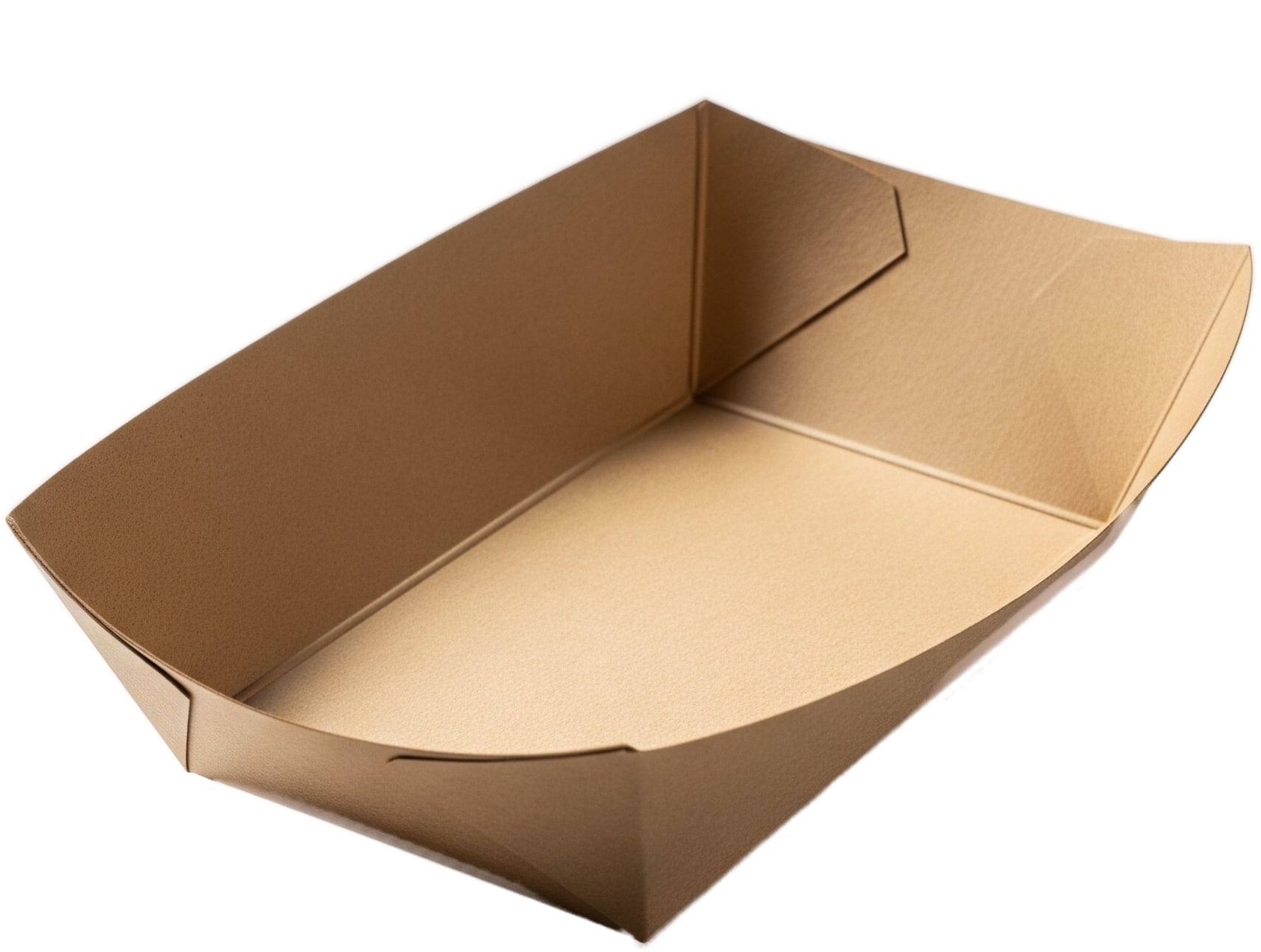 Illustrated kraft boat tray with green stripe